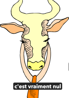 L&rsquo;arthrose, c&rsquo;est nul