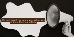 Deng Xiaoping, pong