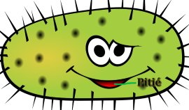 Antispécisme