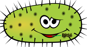 Antispécisme