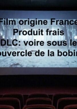 Le cinéma français à l&rsquo;air con